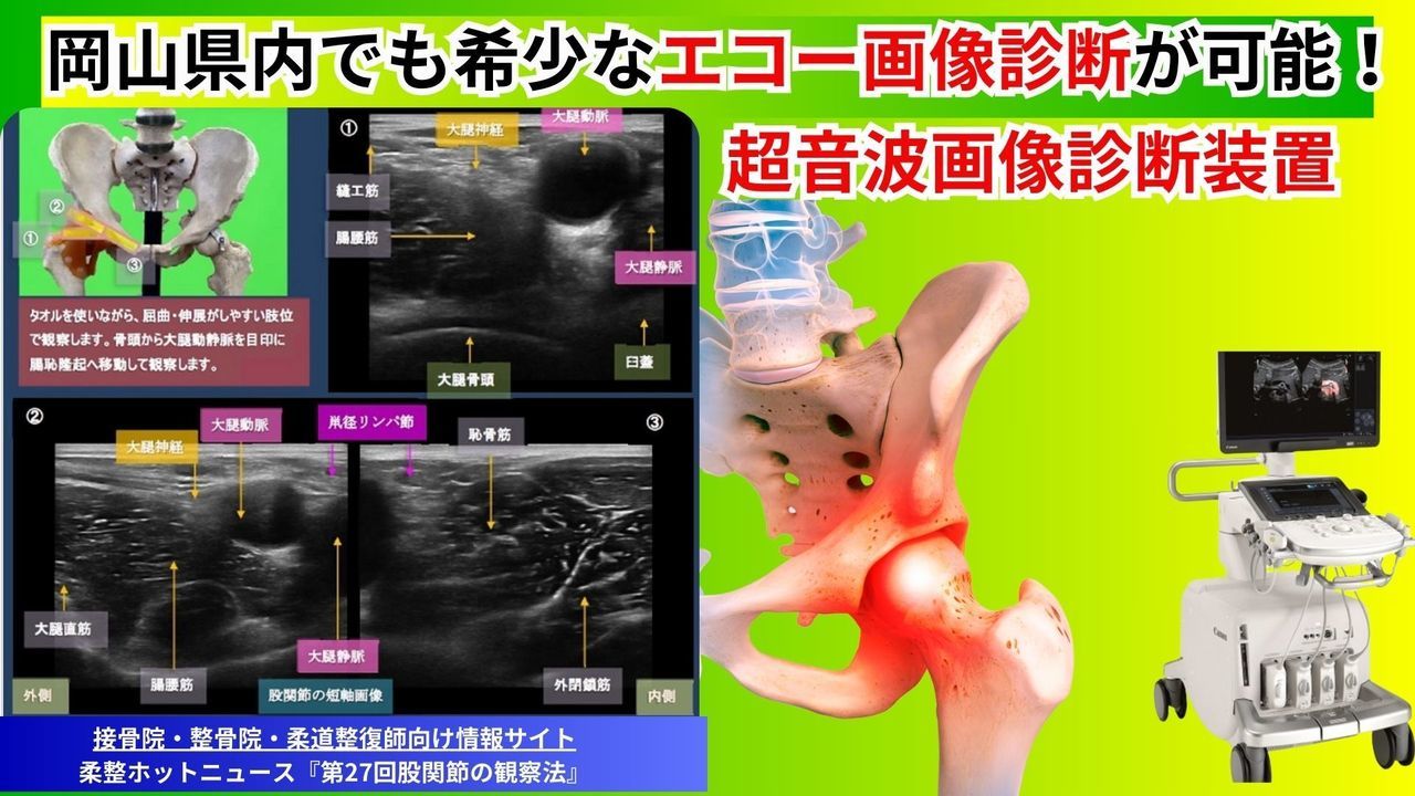 変形性股関節症のエコー診断｜玉野市ジール鍼灸整骨院