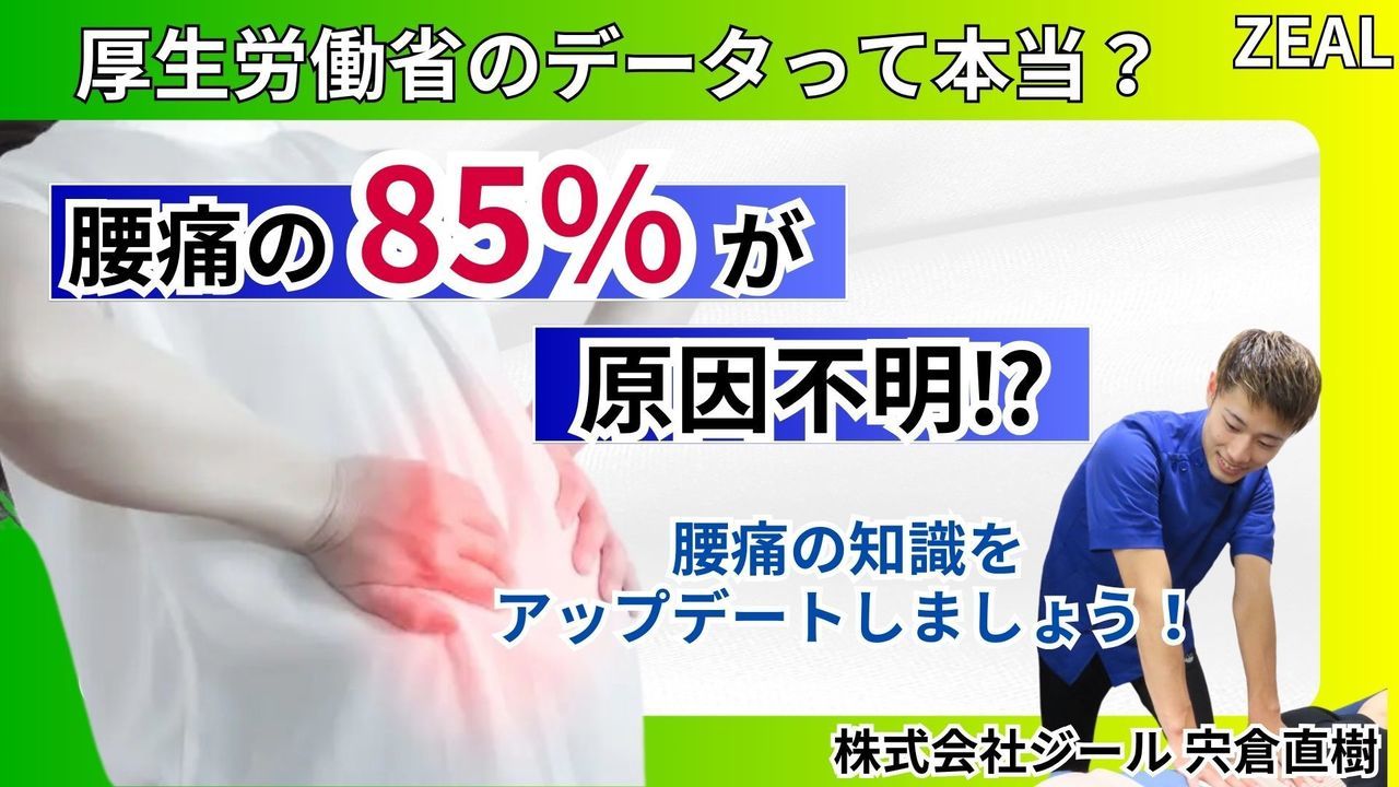 腰痛（ぎっくり腰）のデータ｜玉野市ジール鍼灸整骨院