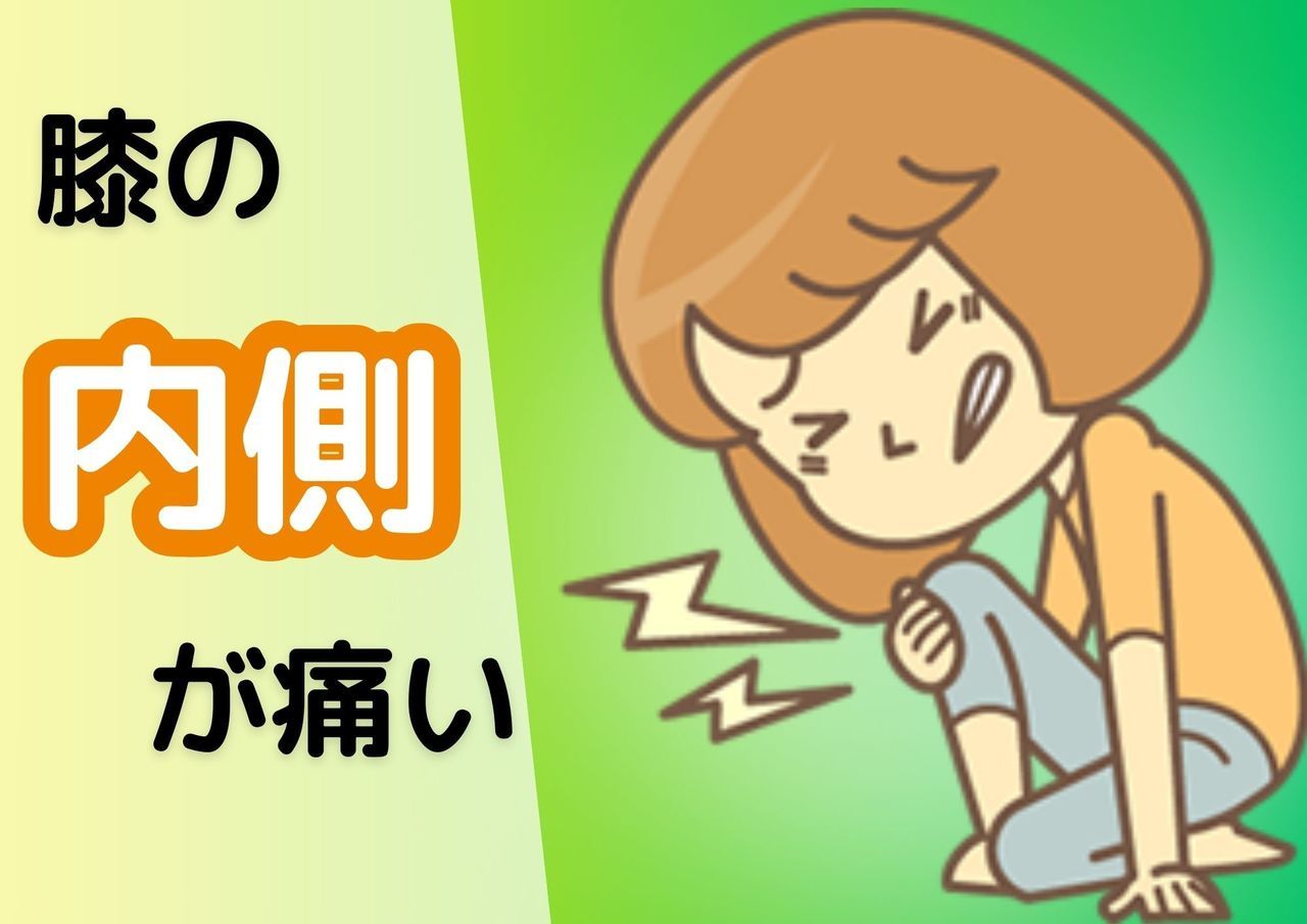 膝の内側が痛い