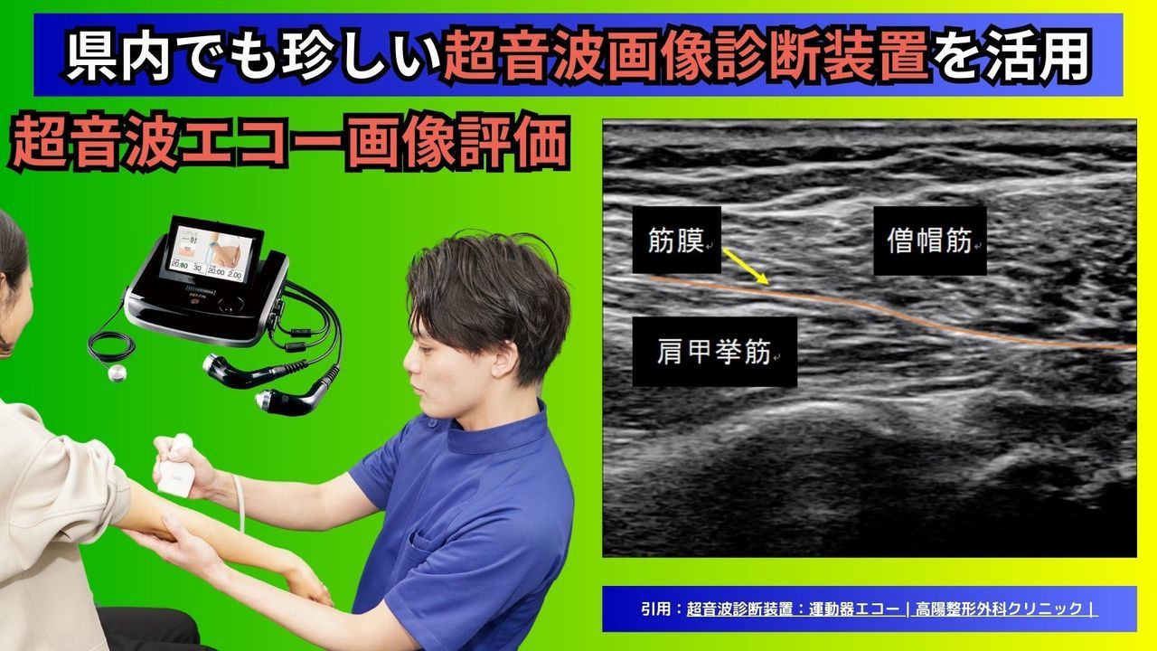 頸椎椎間板ヘルニアのエコー診断｜玉野市田井ジール鍼灸整骨院