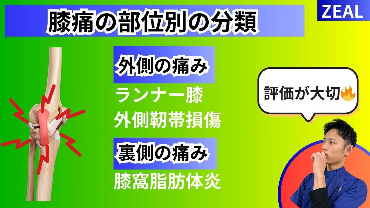 変形性膝関節症の分類｜玉野市ジール鍼灸整骨院