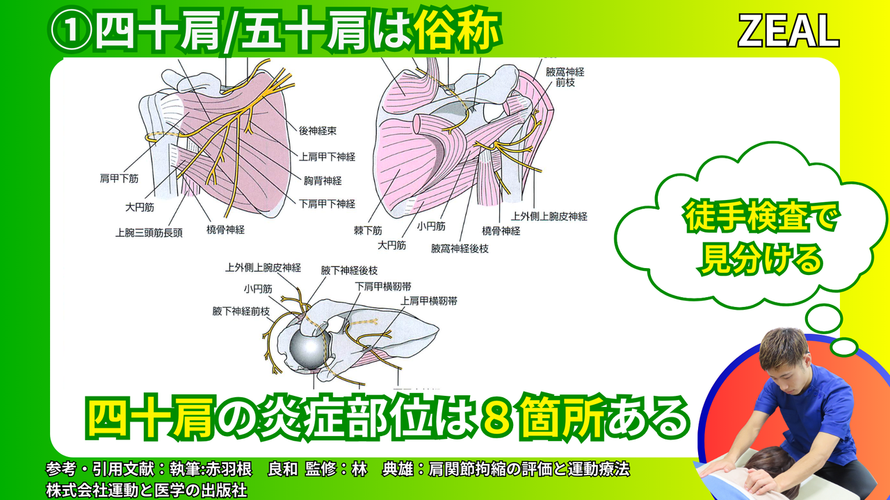 四十肩・五十肩の症状｜玉野市ジール鍼灸整骨院