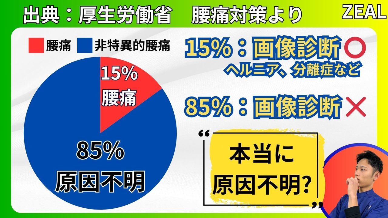腰痛（ぎっくり腰）の厚生労働省のデータ｜玉野市ジール鍼灸整骨院