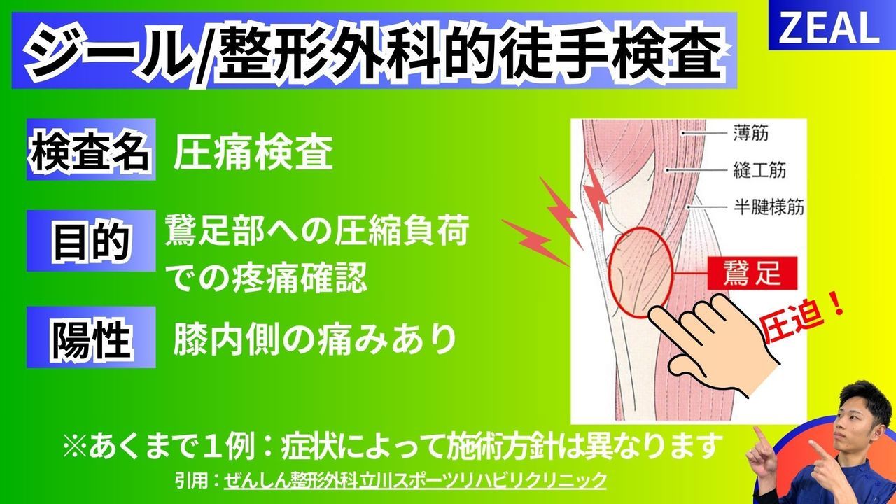 鵞足炎の徒手検査｜玉野市ジール鍼灸整骨院