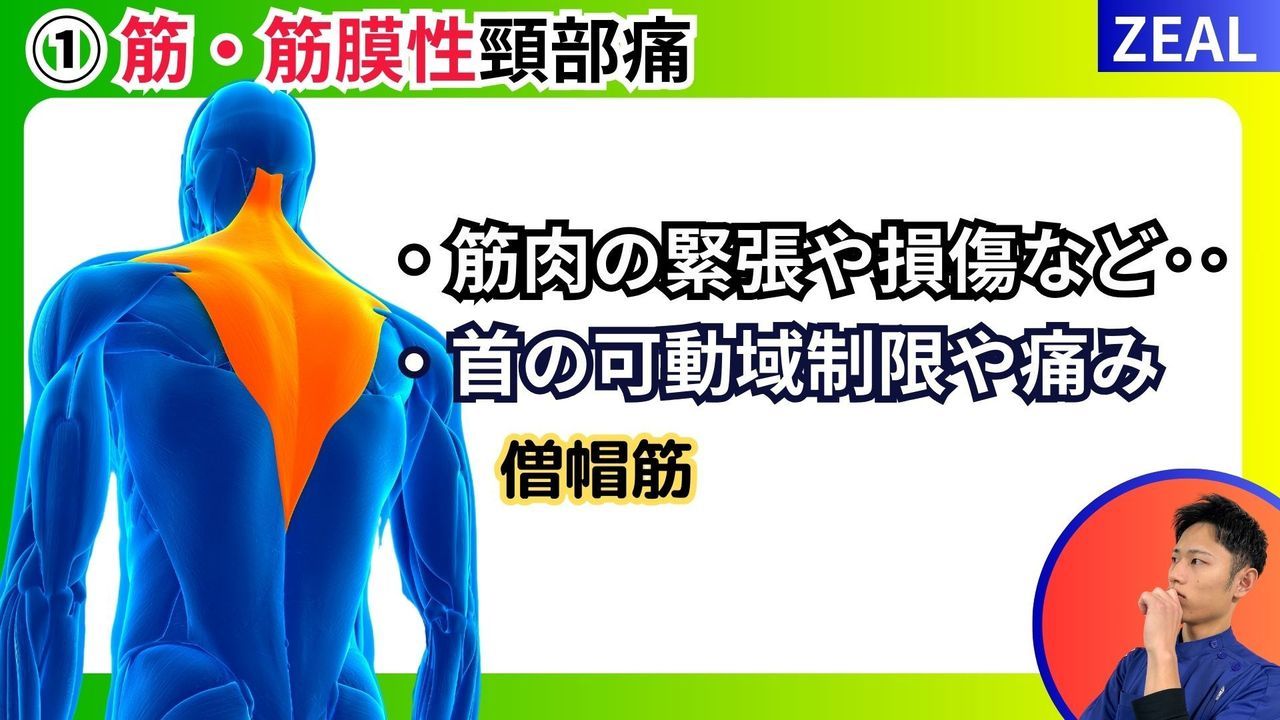 首の痛み頸部痛｜玉野市ジール鍼灸整骨院